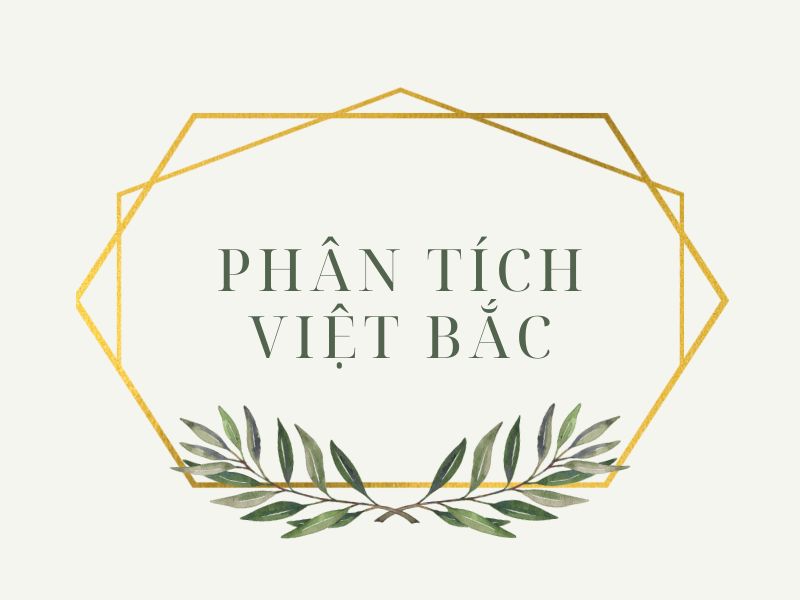 Phân tích Việt Bắc