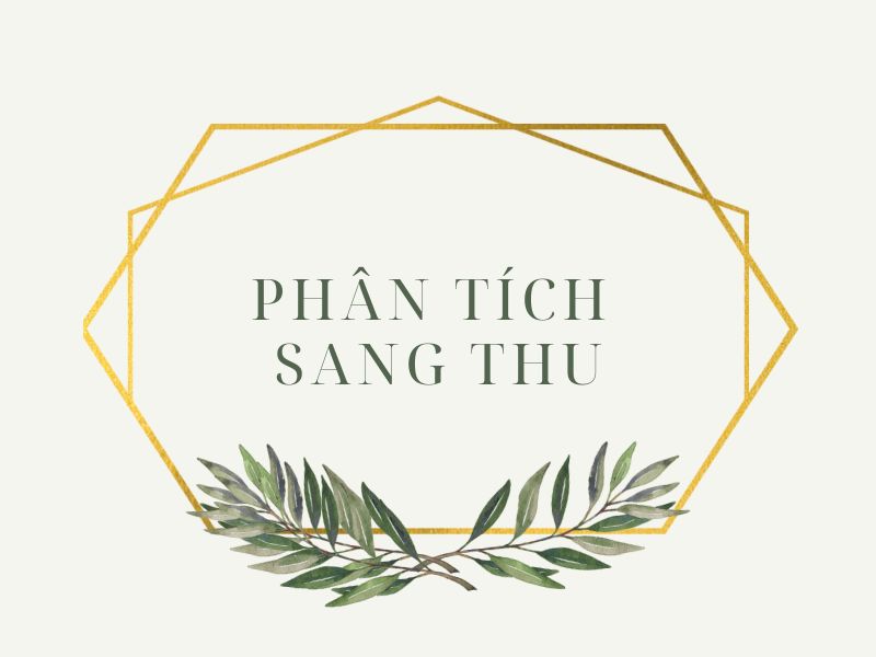 Phân tích sang thu