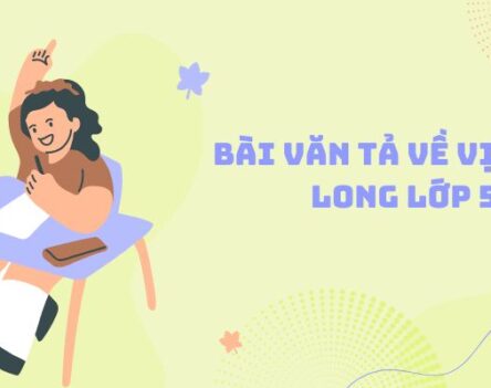 Bài văn tả về vịnh Hạ Long lớp 5 được điểm cao nhất