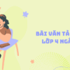 Top 20+ bài văn tả cây mai lớp 4 ngắn gọn, hay nhất