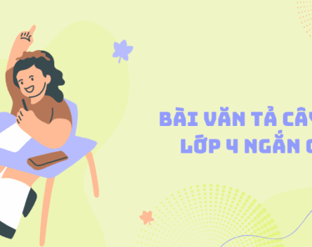 Top 20+ bài văn tả cây mai lớp 4 ngắn gọn, hay nhất