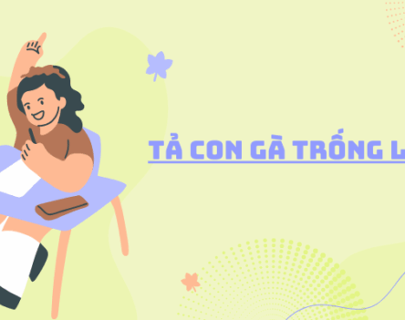 Top 25+ bài văn tả con gà trống lớp 4 chọn lọc 