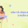 Tổng hợp 30+ bài văn tả cánh đồng lớp 5 ngắn gọn