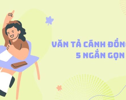 Tổng hợp 30+ bài văn tả cánh đồng lớp 5 ngắn gọn