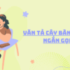 Top 30+ mẫu văn tả cây bàng lớp 4 ngắn gọn có chọn lọc 