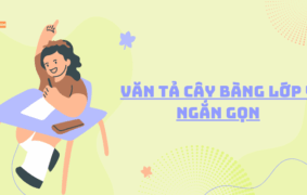 Top 30+ mẫu văn tả cây bàng lớp 4 ngắn gọn có chọn lọc 