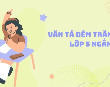 Mẫu 20+ bài văn tả đêm trăng đẹp lớp 5 ngắn gọn đầy cảm xúc