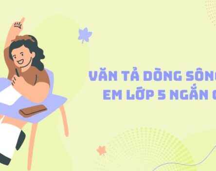 Chọn lọc 20+ bài văn tả đồ vật lớp 5